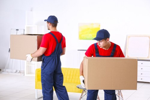 Removal team handling household items for a move in Portugal