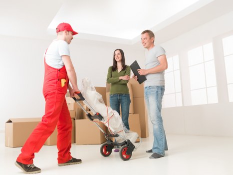 Local moving help for a small business delivery in Portugal